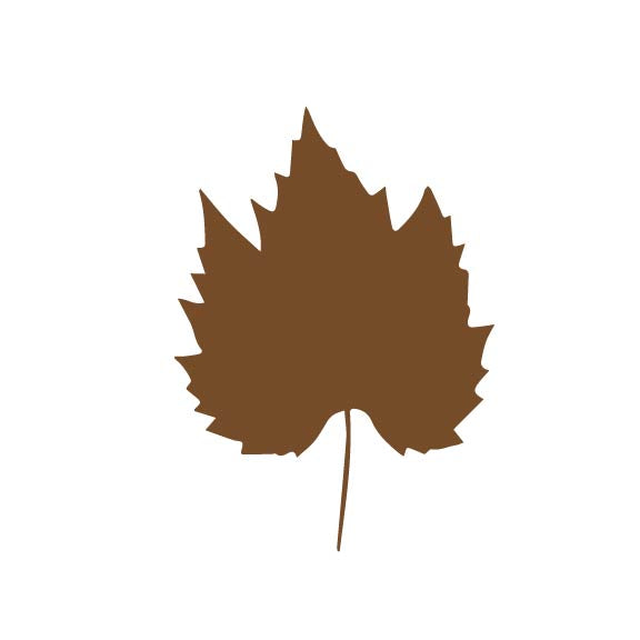 Laser Cut Fall Themed Calligraphy Blanks (Paper)