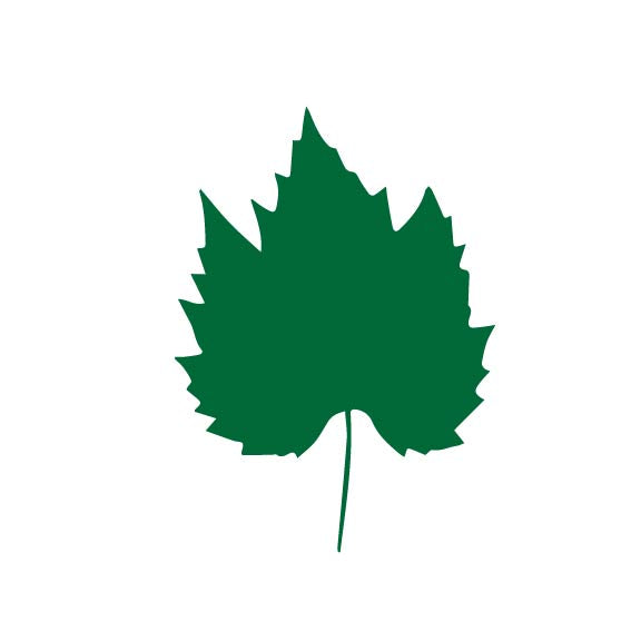 Laser Cut Fall Themed Calligraphy Blanks (Paper)