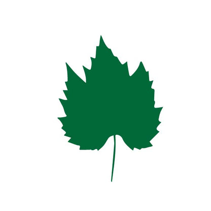 Laser Cut Fall Themed Calligraphy Blanks (Paper)