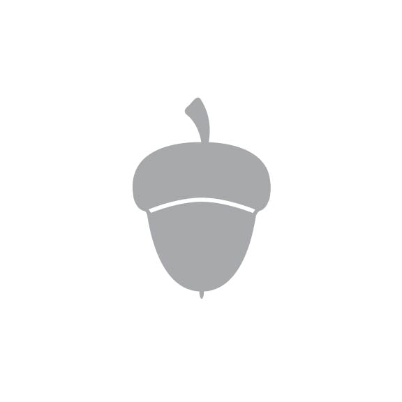 Laser Cut Fall Themed Calligraphy Blanks (Paper)