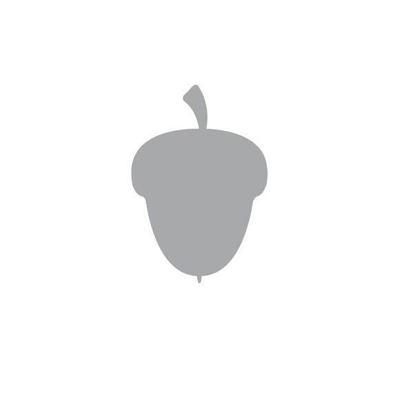 Laser Cut Fall Themed Calligraphy Blanks (Paper)