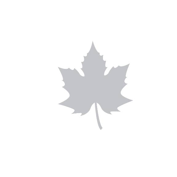 Laser Cut Fall Themed Calligraphy Blanks (Paper)