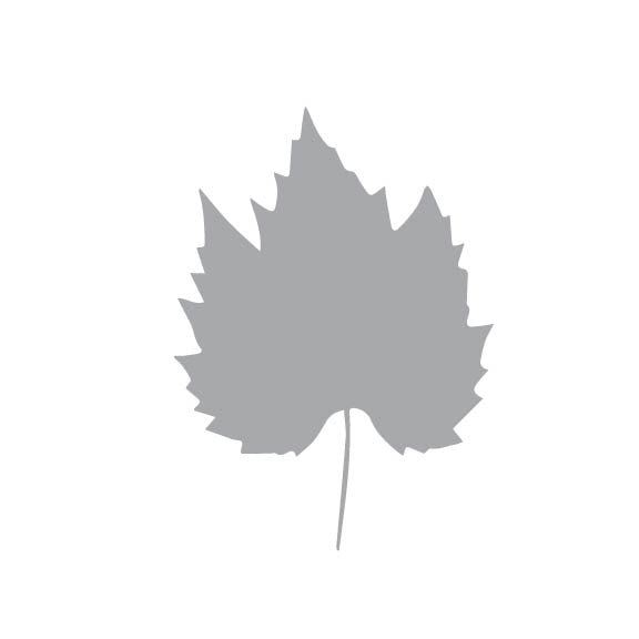 Laser Cut Fall Themed Calligraphy Blanks (Paper)