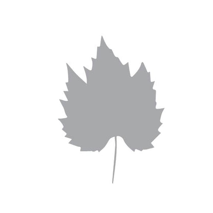 Laser Cut Fall Themed Calligraphy Blanks (Paper)